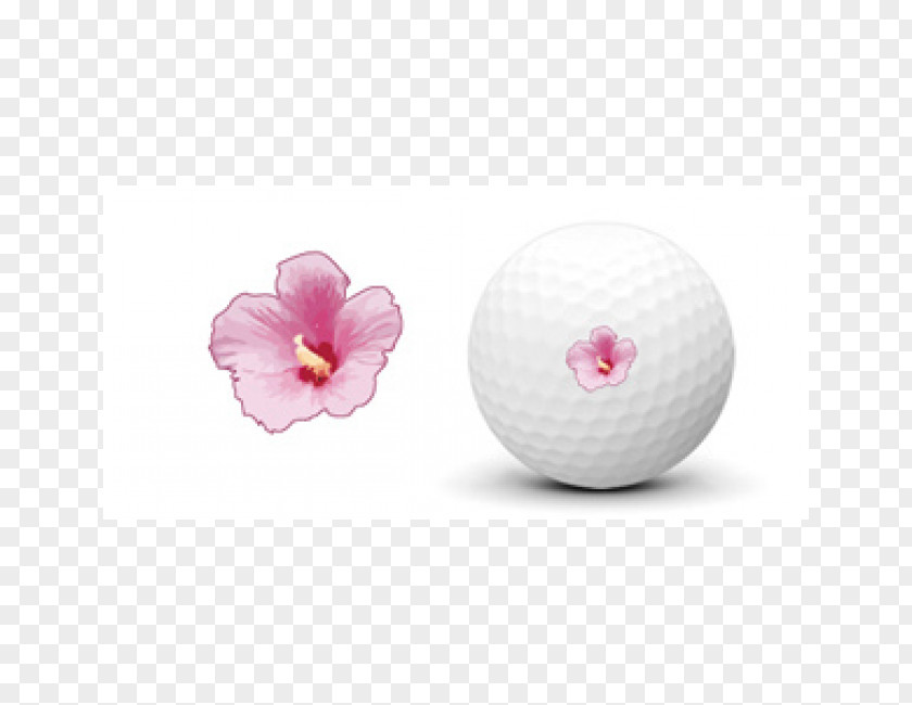 Golf Product Design Balls Pink M PNG
