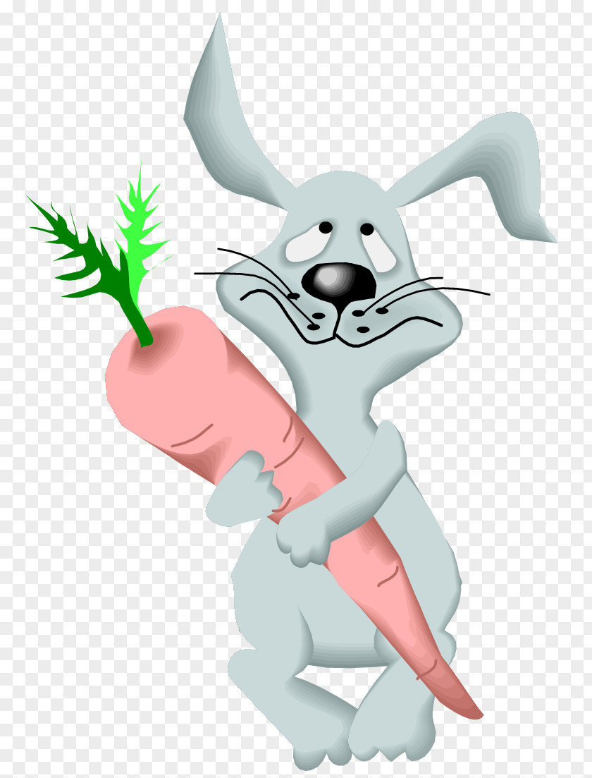 Peter Rabbit European Hase Hasi: Ein Kinderbuch Zum Selbermalen Leporids Hare Clip Art PNG
