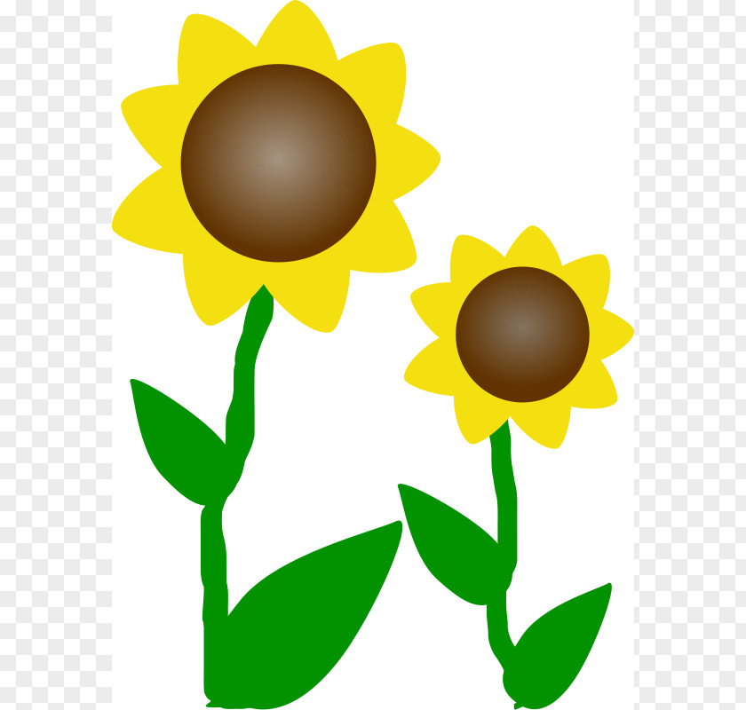 Show And Tell Clipart Common Sunflower Free Content Drawing Clip Art PNG