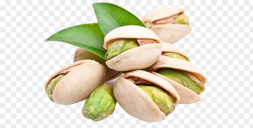 Walnut Pistachio Hazelnut Cashew Pecan PNG