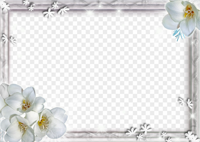 White Flower Frame File Wallpaper PNG
