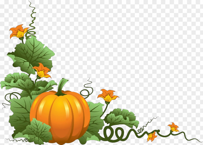 Winter Squash Gourd Pumpkin PNG