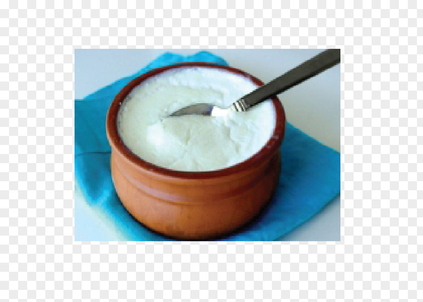 Curd Rice Lassi Paratha Raita Indian Cuisine PNG