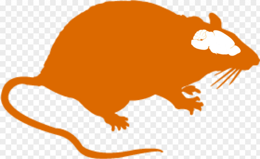 DésinsectisationDératisation En France Mouse Rodent PestRat Désinfection PNG