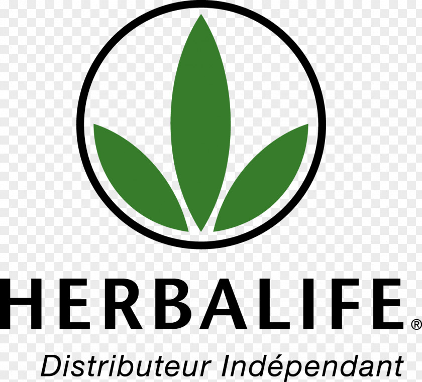 Wellness Herbal Center Dietary Supplement Pyramid Scheme Multi-level Marketing Logo PNG
