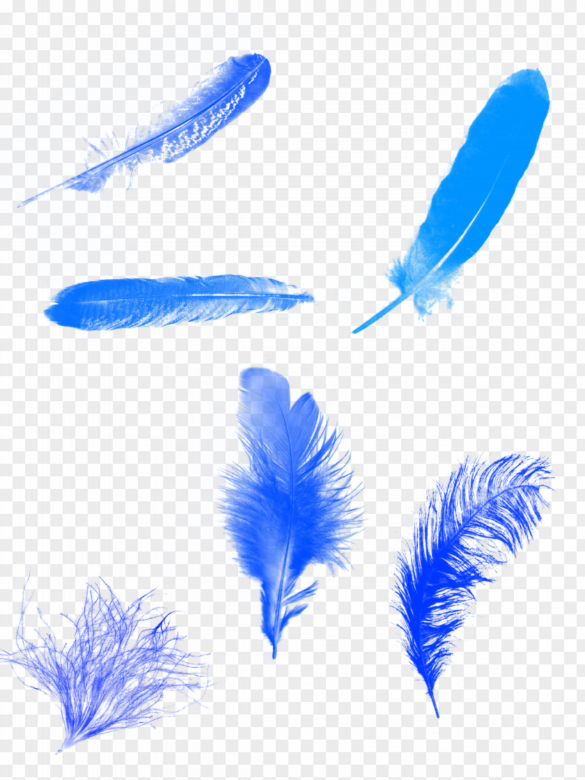 Blue Feather Background Euclidean Vector Computer File PNG