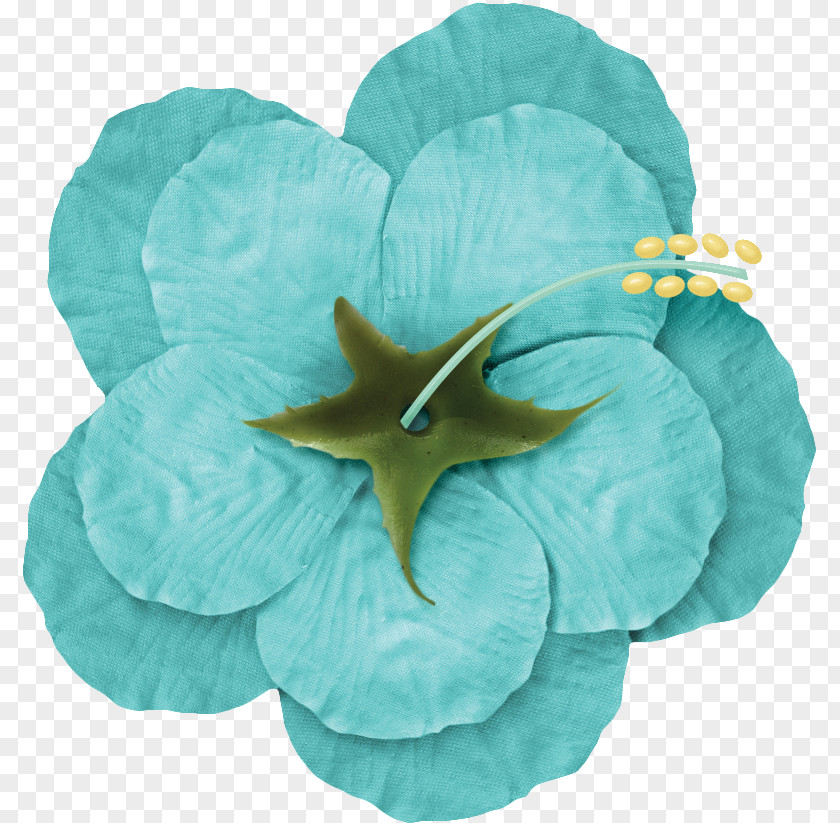 Blue Flower Drawing PNG