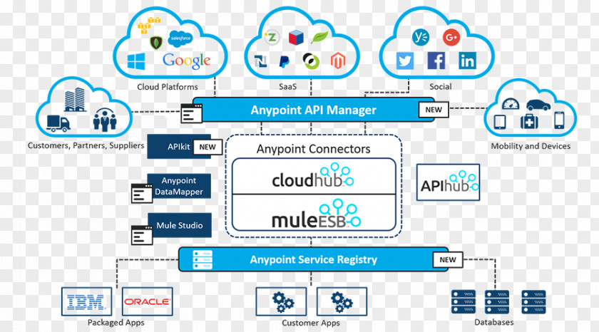 Cloud Frame MuleSoft Enterprise Service Bus Information Data PNG