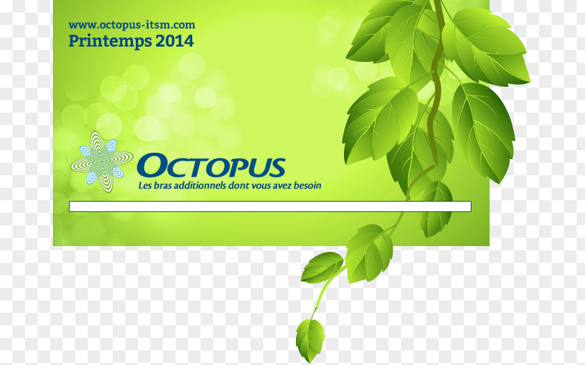 Doctor Octopus Leaf Herbalism Green Desktop Wallpaper PNG