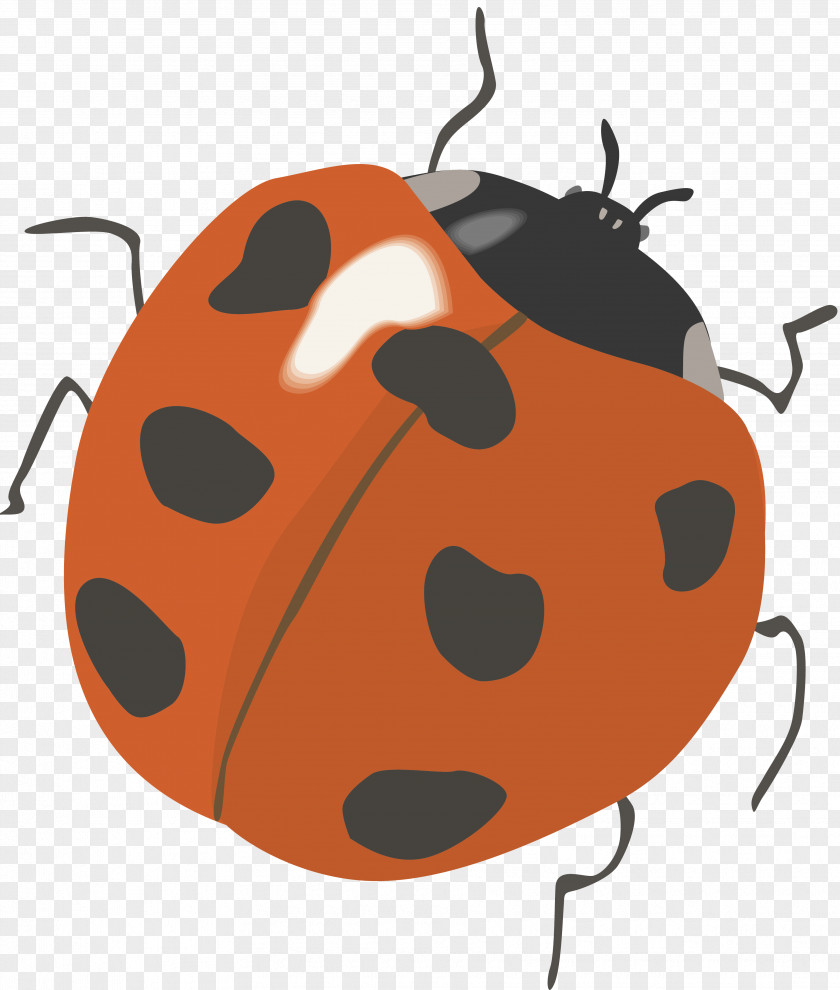 Ladybird Centerblog Clip Art PNG