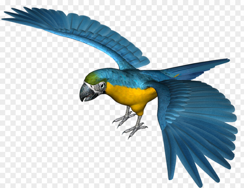 Large Blue Parrot Clipart Icon PNG