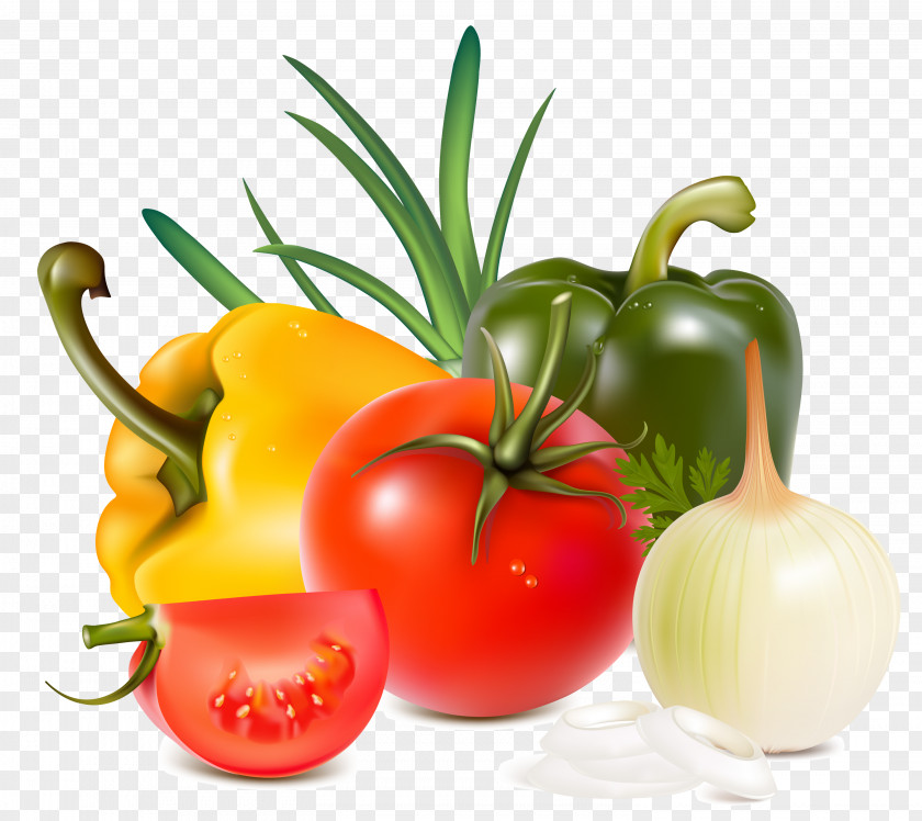 Vegetable Cabbage Fruit Clip Art PNG