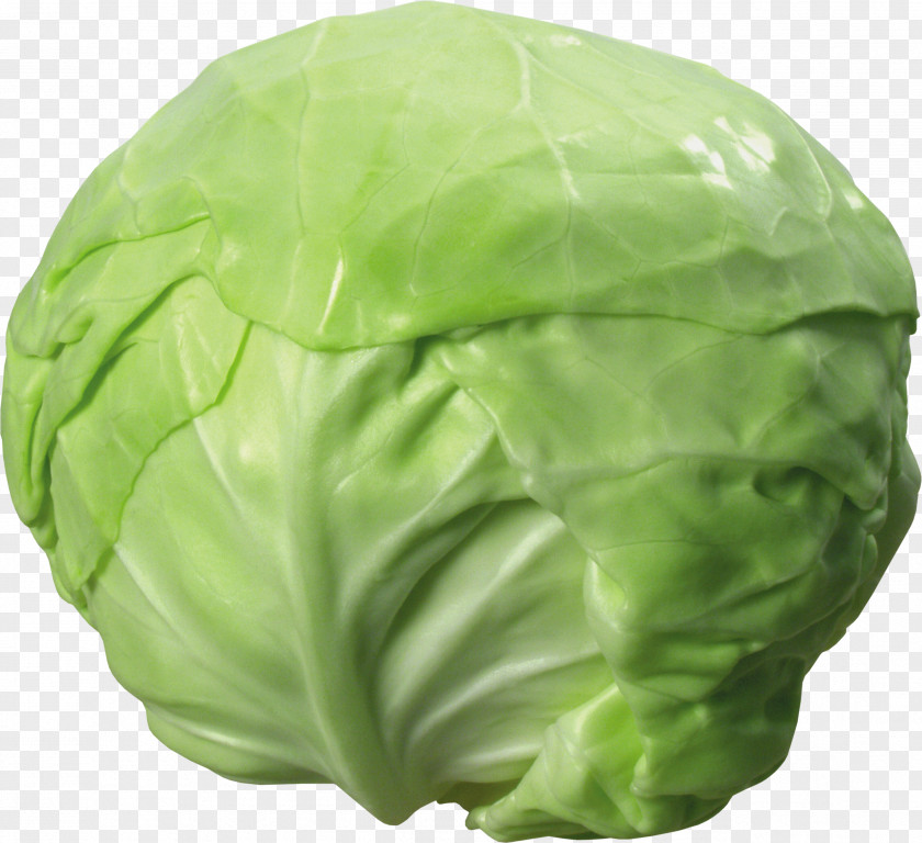 Cabbage Image Soup Diet Weight Loss Vegetable PNG