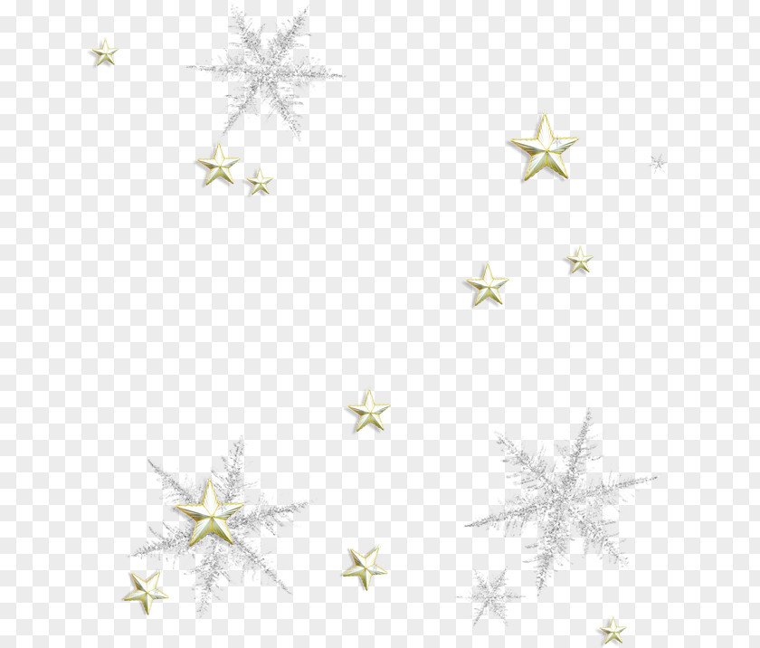 Christmas Star Petal Pattern PNG