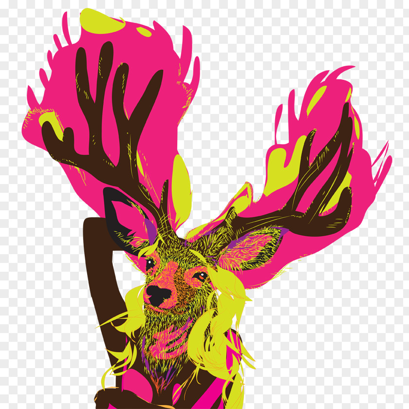 Deer Graphic Designer Illustrator PNG