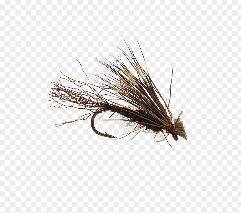 Insect Artificial Fly Fishing Holly Flies PNG