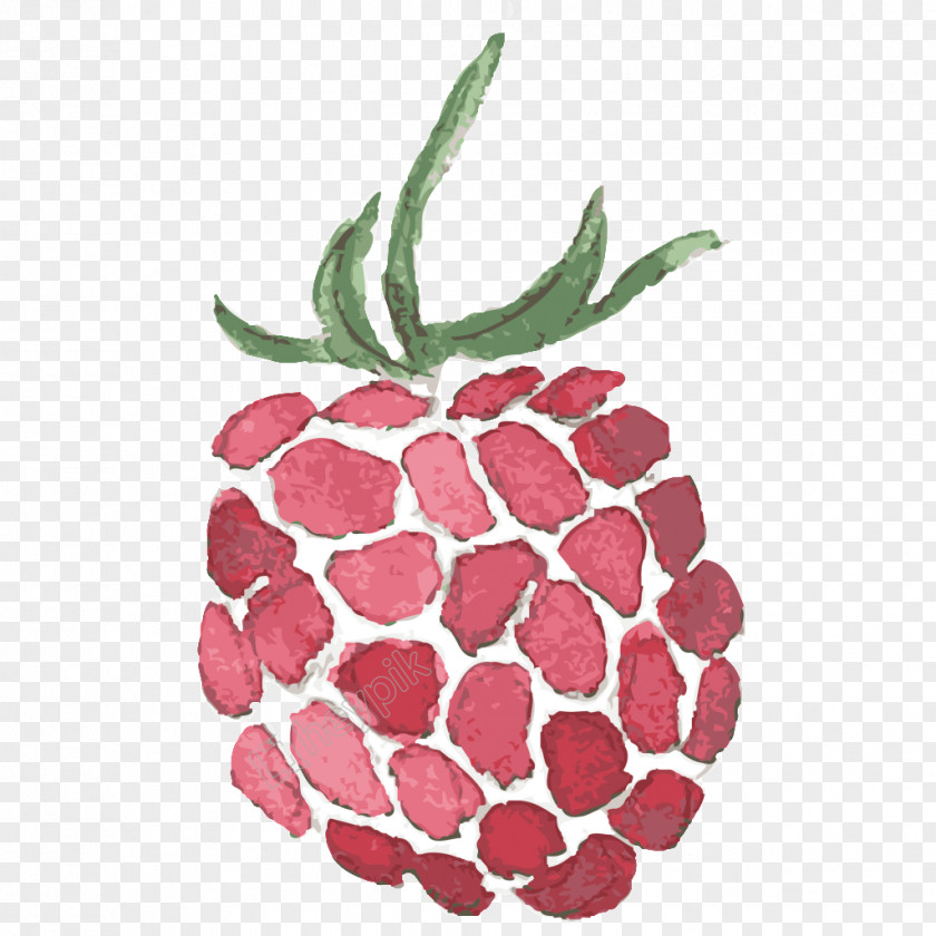 Juice Berries Red Raspberry Strawberry PNG