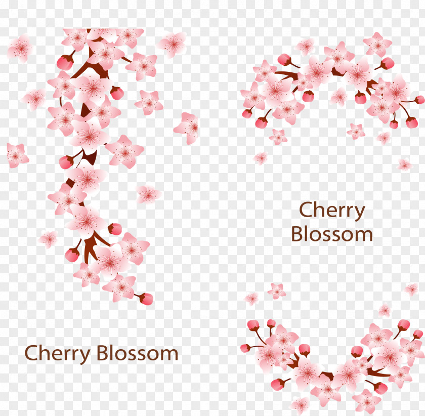 Pink Romantic Cherry Blossoms Blossom Adobe Illustrator PNG