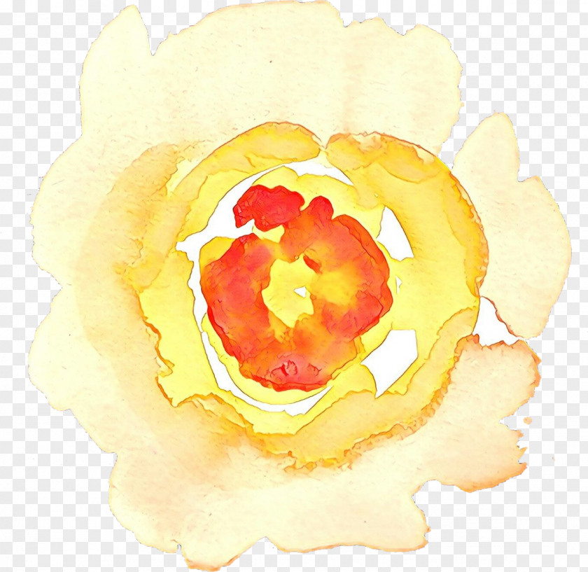 Rose Family Paint Flower Art Watercolor PNG
