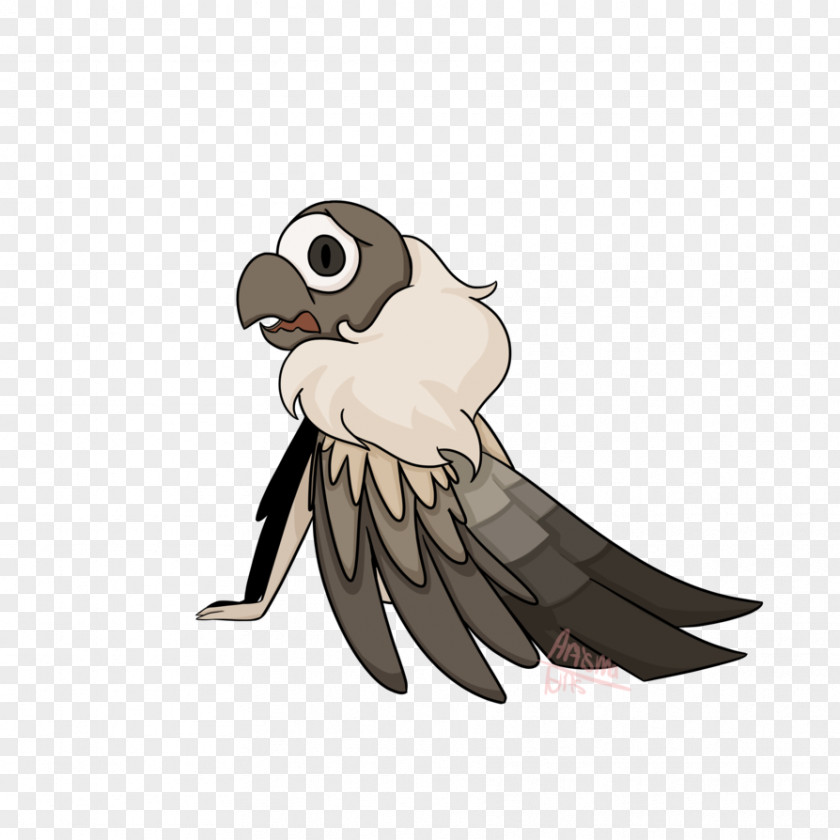 Bird Parrot Beak Feather PNG
