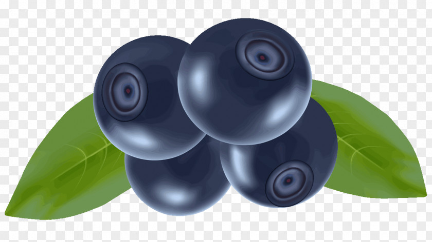 Blueberries Fruit Plastic PNG