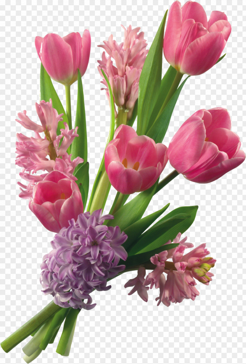 Gladiolus Greeting Happiness Flower Bouquet Clip Art PNG