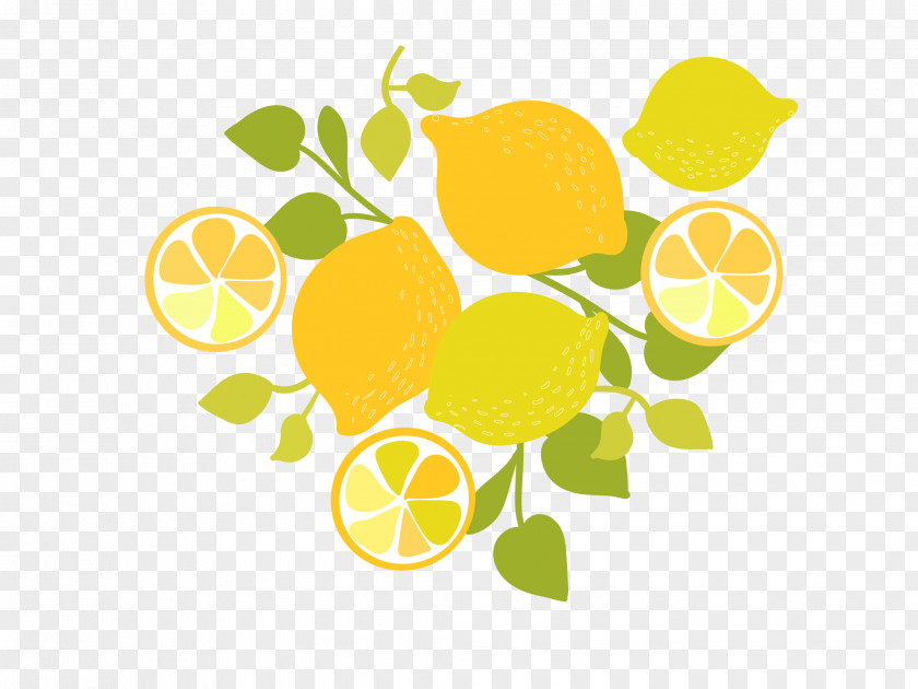 Sliced Lemon Clip Art PNG