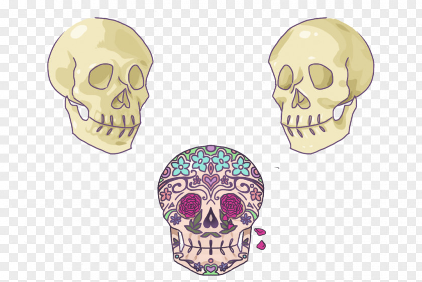A Lot Of Skull Body Jewellery PNG