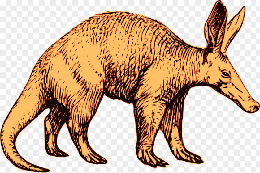 Aardvark Anteater Animal Clip Art PNG