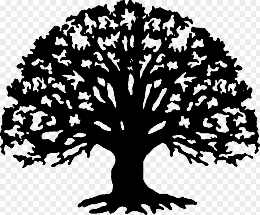 Black Trees Cliparts Family Reunion T-shirt Tree Clip Art PNG