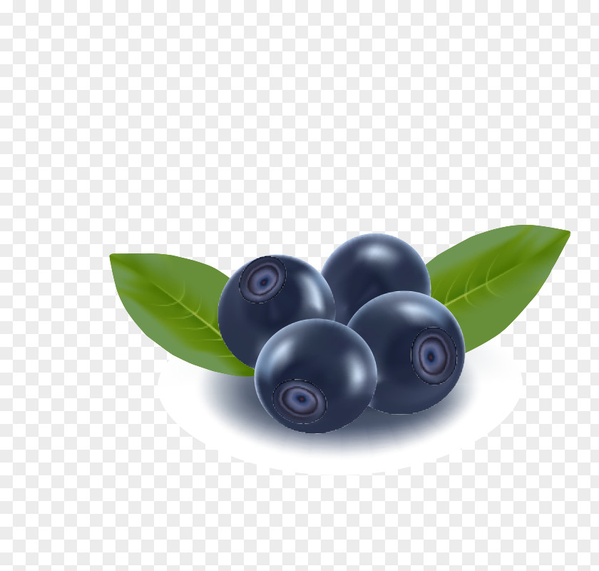 Blueberry Fruit Clip Art PNG