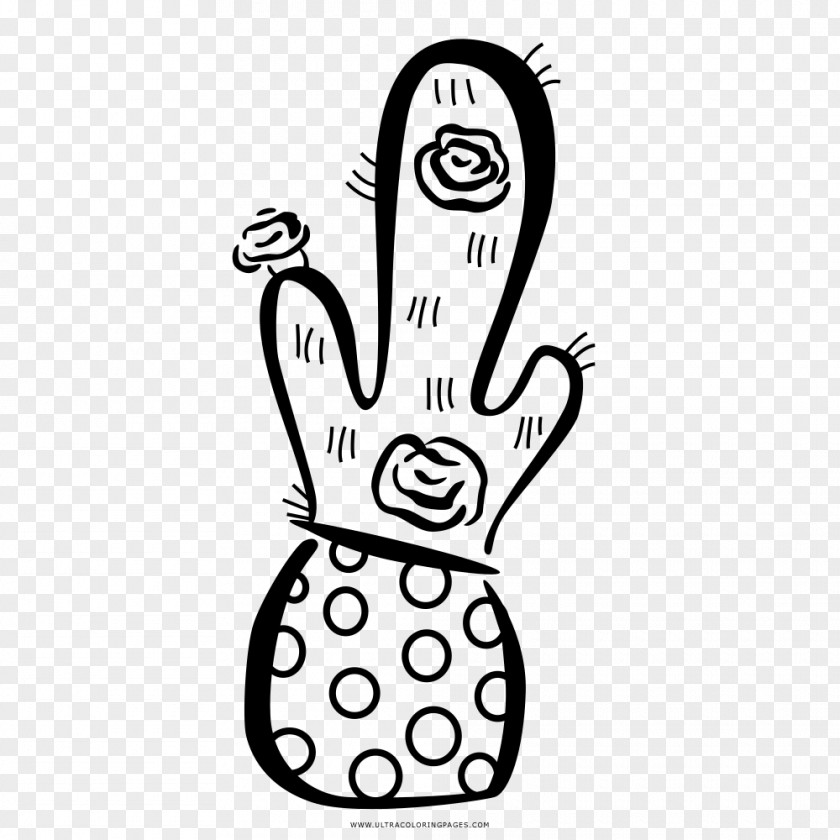 Cacto Drawing Coloring Book Character Vertebrate Cactaceae PNG