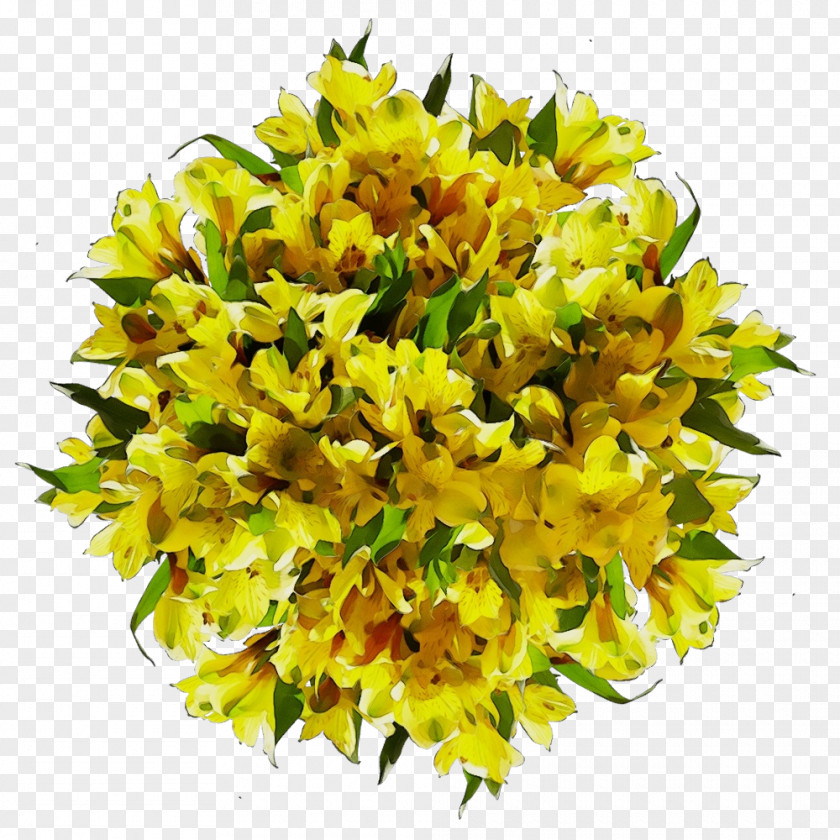 Floral Design PNG