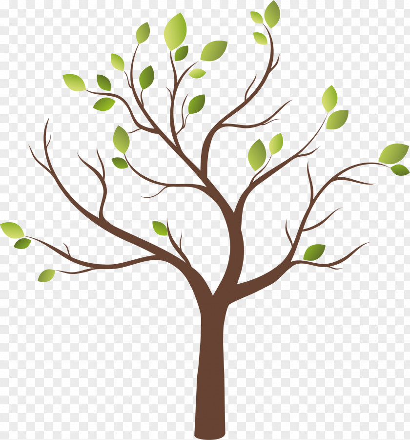 Green Cartoon Trees PNG cartoon trees clipart PNG