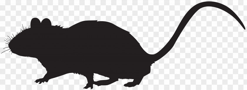 Mouse Silhouette Clip Art Image Rat Whiskers Rodent PNG