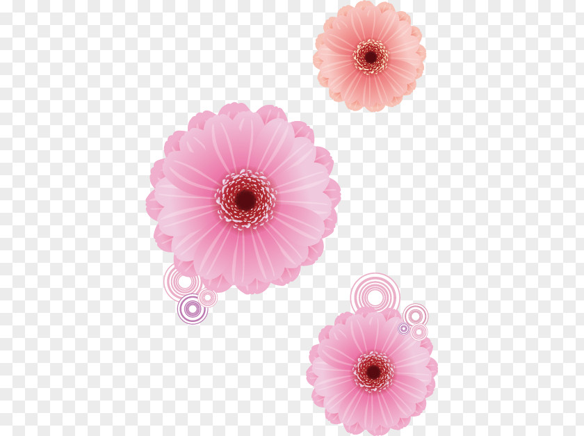 Vector Flower Transvaal Daisy Pink Euclidean Rose PNG
