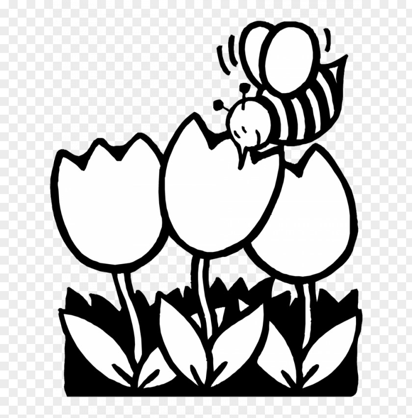 Cartoon Bee Coloring Page Black And White Book Spring Clip Art PNG