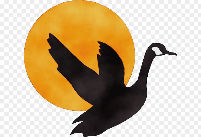 Cormorant Cranelike Bird Outline PNG