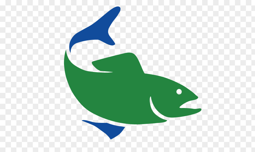 Dolphin Common Bottlenose University Of Connecticut Porpoise Clip Art PNG