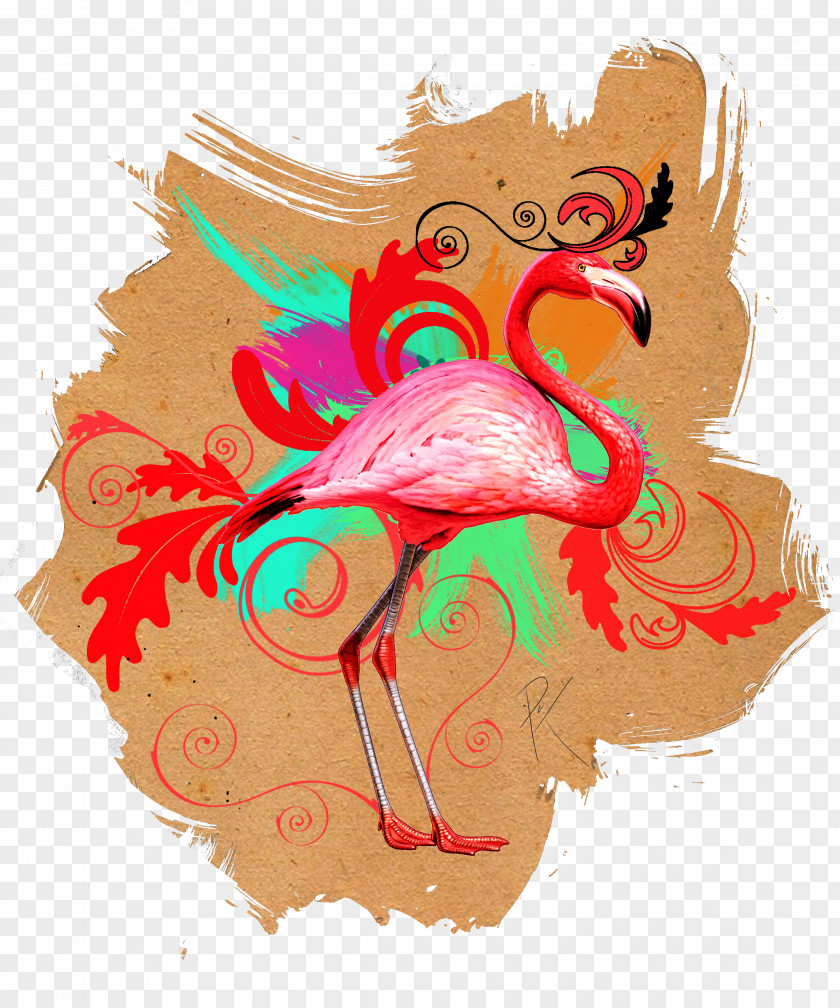 Flamingo Vertebrate Visual Arts Bird PNG