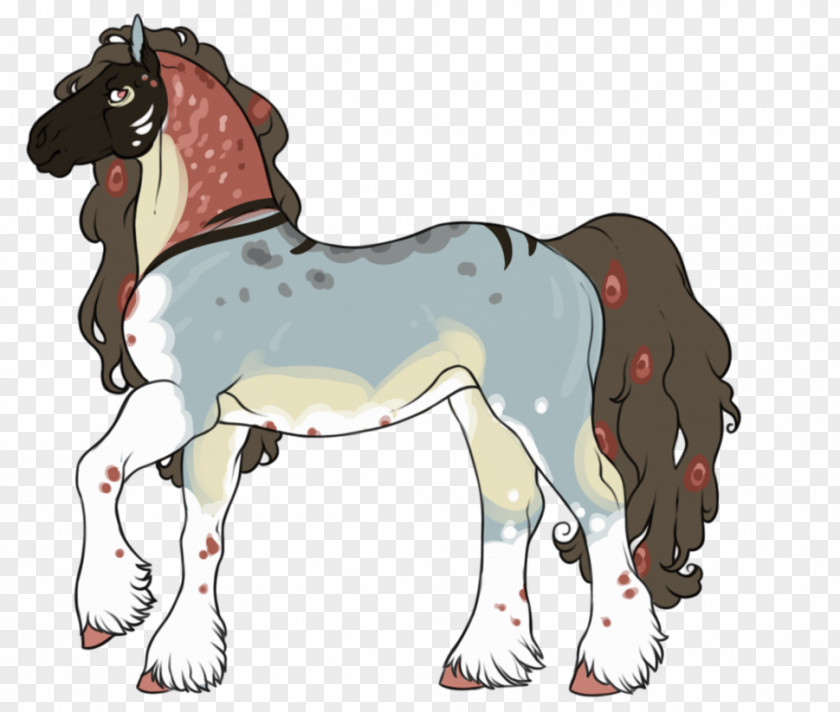 Mustang Pony Foal Stallion Colt PNG