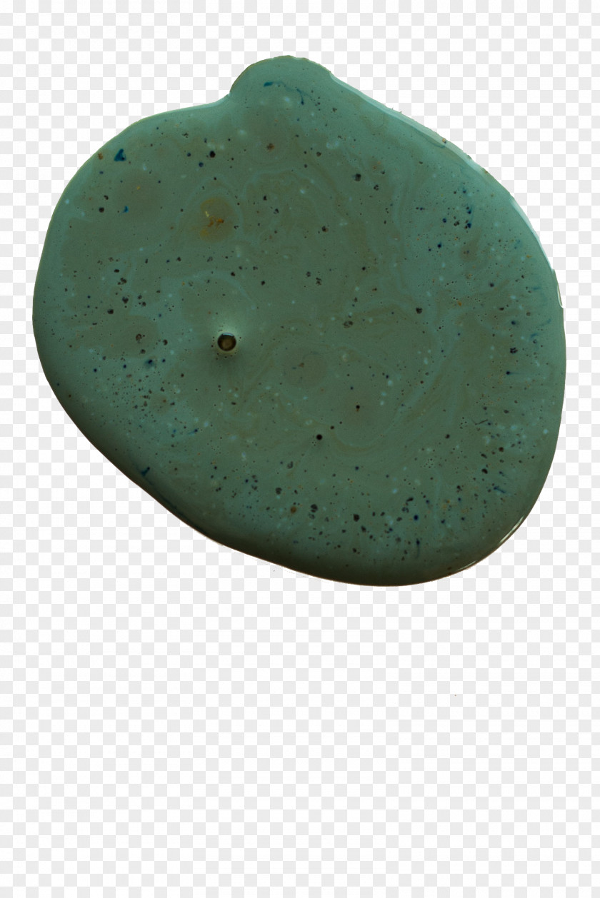Organism Turquoise PNG