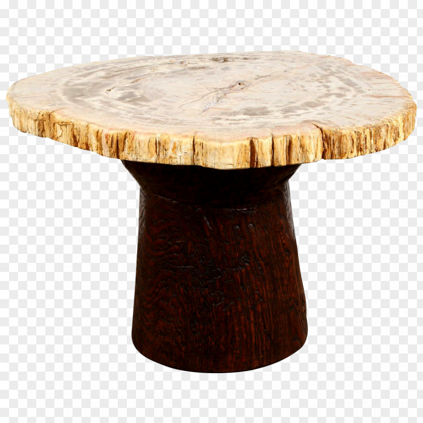 Table Petrified Wood Petrifaction Teak PNG