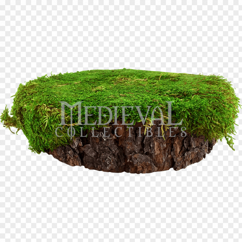 Tree Stump Garden Soil Dark Knight Armoury PNG