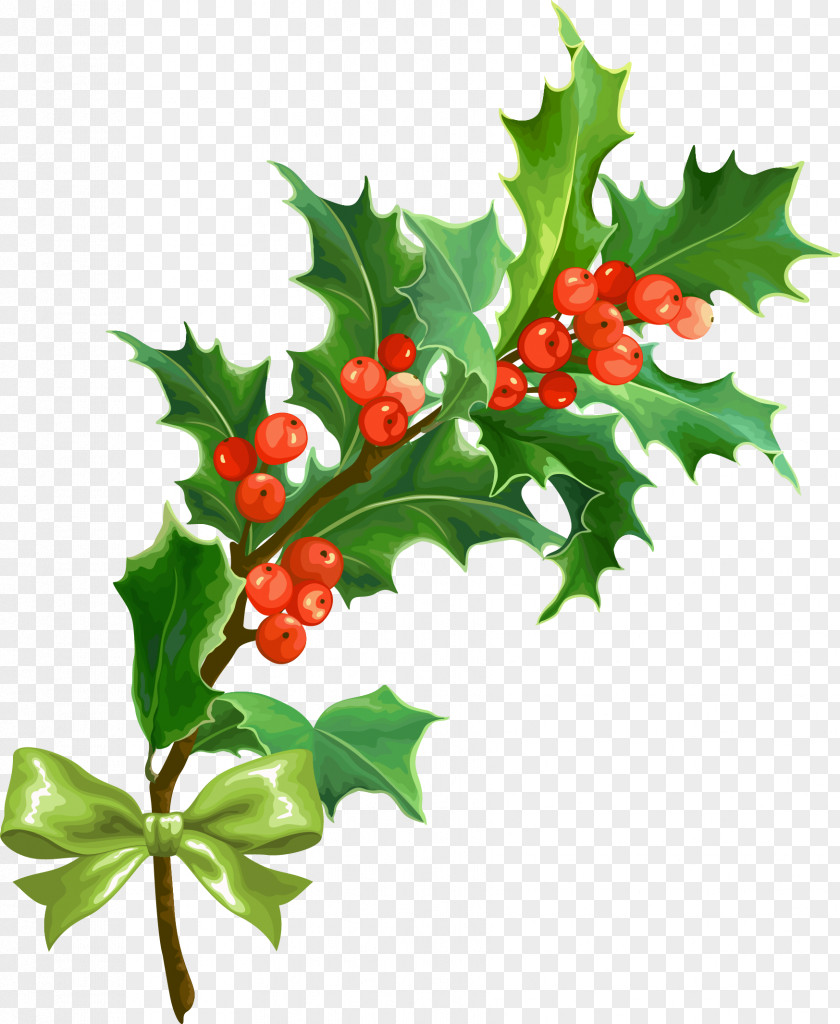 Creative Christmas Holly Leaf PNG