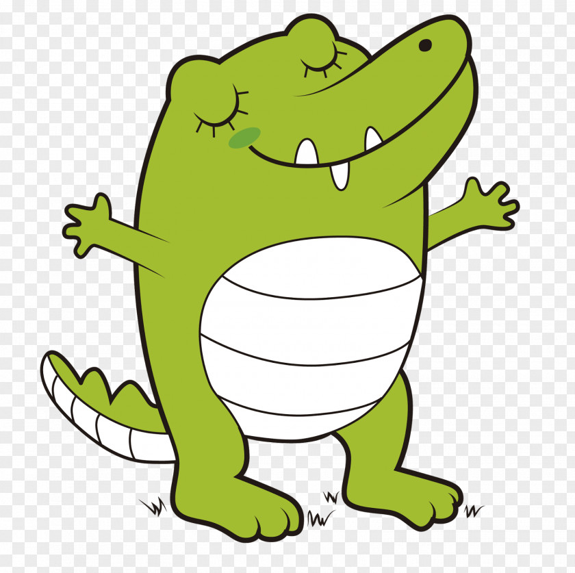 Crocodile Photography Theatrical Property Infant Frog Animal PNG