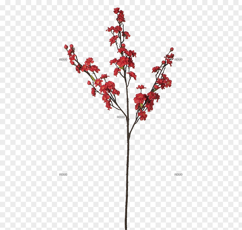 Deko Twig Flower Red Plant Stem Branch PNG