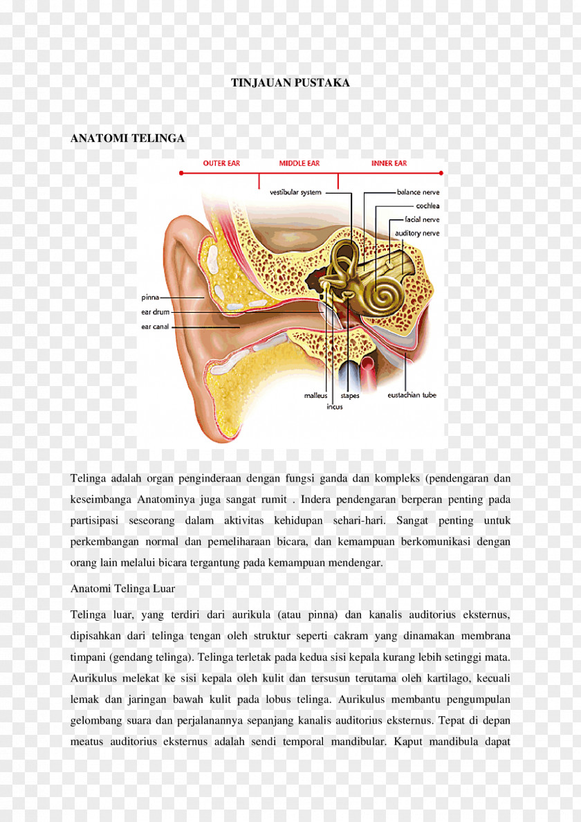 Ear Inner Vertigo Middle Hearing PNG
