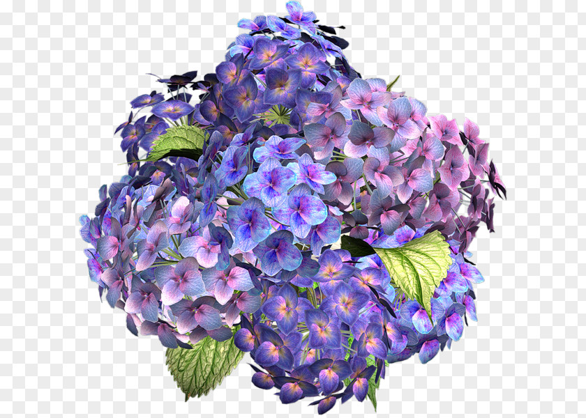 Flower RGB Color Model Clip Art PNG
