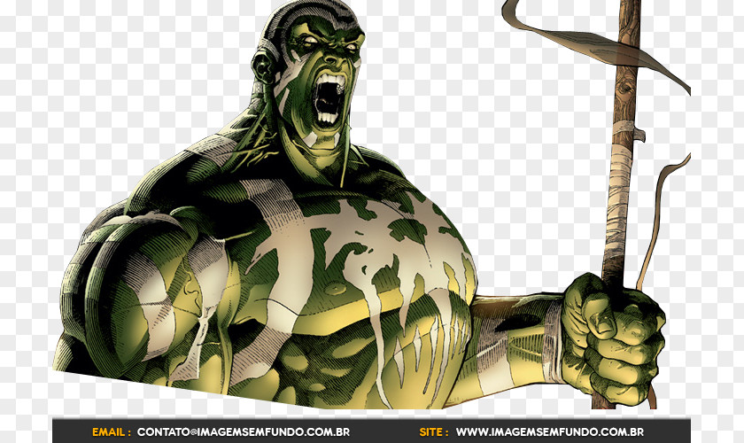 Imagem Hulk House Of M Marvel Comics PNG